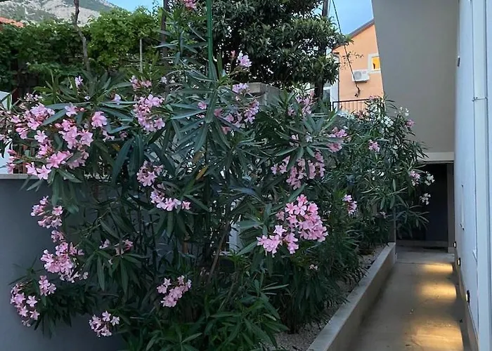 Sa Pogledom Na I Otoke *